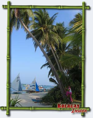 Palm Trees